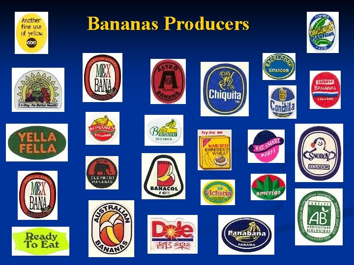 Bananas Producers 