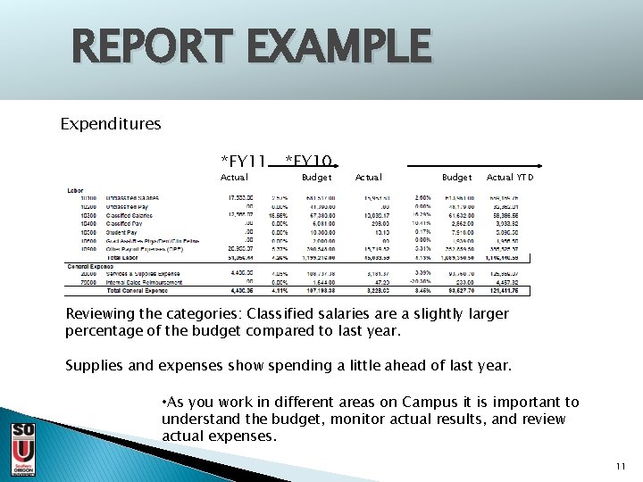 REPORT EXAMPLE Expenditures *FY 11 Actual *FY 10 Budget Actual YTD Reviewing the categories: