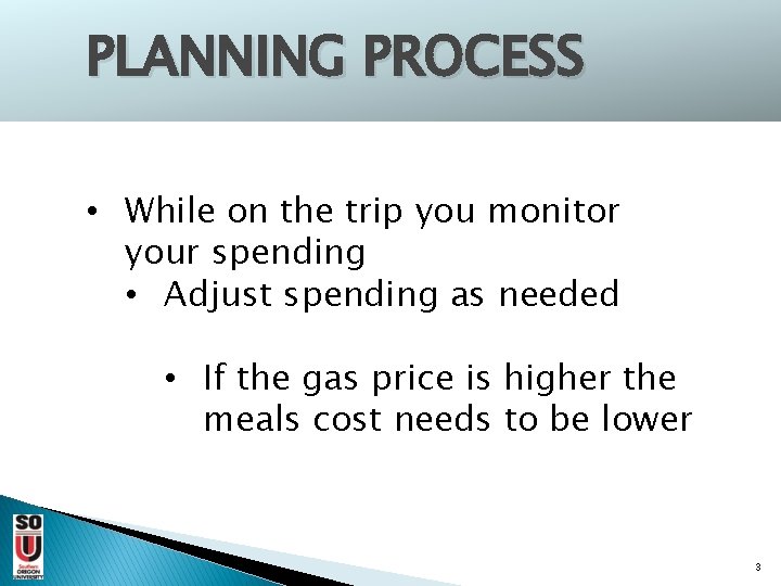 PLANNING PROCESS • While on the trip you monitor your spending • Adjust spending