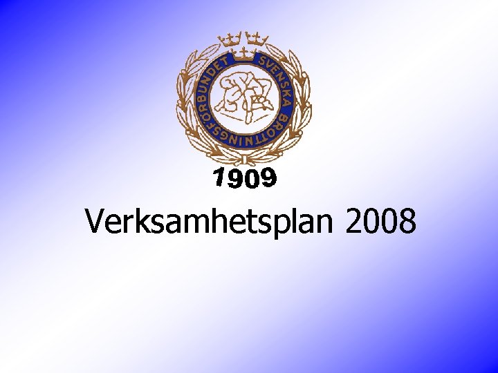 Verksamhetsplan 2008 