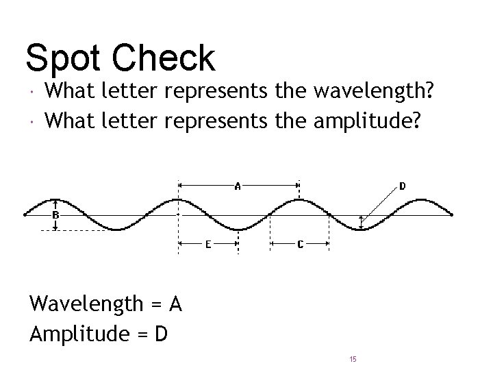 Spot Check What letter represents the wavelength? What letter represents the amplitude? Wavelength =