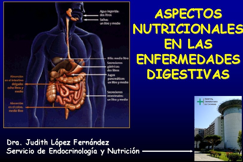 ASPECTOS NUTRICIONALES EN LAS ENFERMEDADES DIGESTIVAS Dra. Judith López Fernández Servicio de Endocrinología y