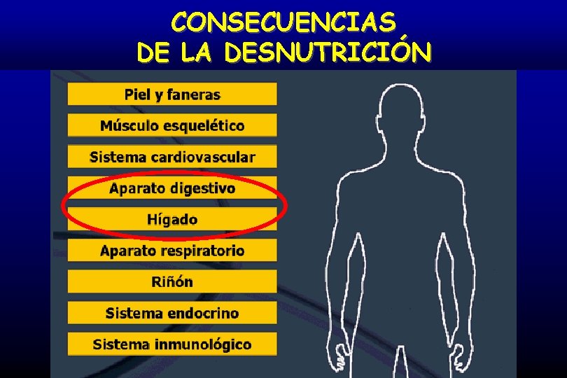 CONSECUENCIAS DE LA DESNUTRICIÓN 