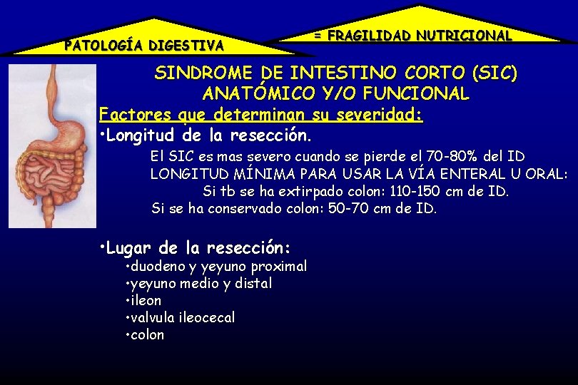 PATOLOGÍA DIGESTIVA = FRAGILIDAD NUTRICIONAL SINDROME DE INTESTINO CORTO (SIC) ANATÓMICO Y/O FUNCIONAL Factores