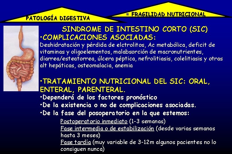 PATOLOGÍA DIGESTIVA = FRAGILIDAD NUTRICIONAL SINDROME DE INTESTINO CORTO (SIC) • COMPLICACIONES ASOCIADAS: Deshidratación