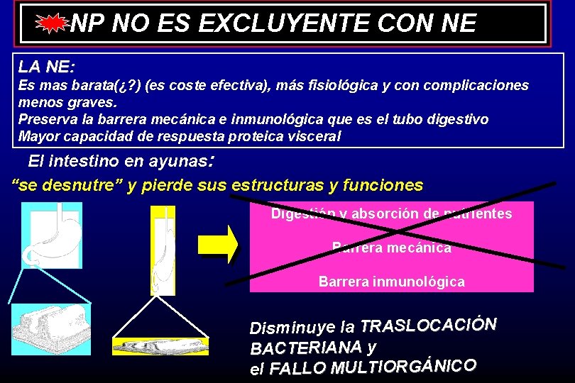 NP NO ES EXCLUYENTE CON NE LA NE: Es mas barata(¿? ) (es coste