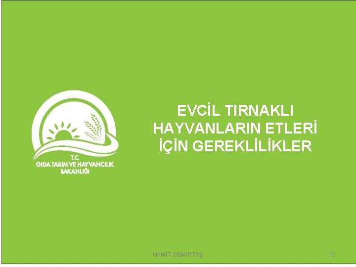 EVCİL TIRNAKLI HAYVANLARIN ETLERİ İÇİN GEREKLİLİKLER HAMİT DEMİRTAŞ 18 