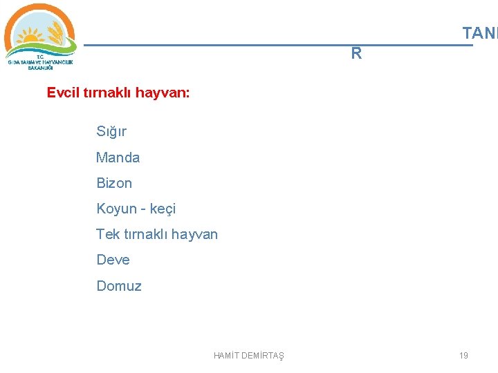 TANI R Evcil tırnaklı hayvan: Sığır Manda Bizon Koyun - keçi Tek tırnaklı hayvan