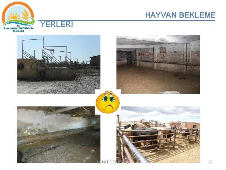 HAYVAN BEKLEME YERLERİ HAMİT DEMİRTAŞ 22 