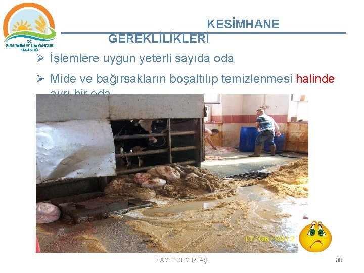 KESİMHANE GEREKLİLİKLERİ Ø İşlemlere uygun yeterli sayıda oda Ø Mide ve bağırsakların boşaltılıp temizlenmesi