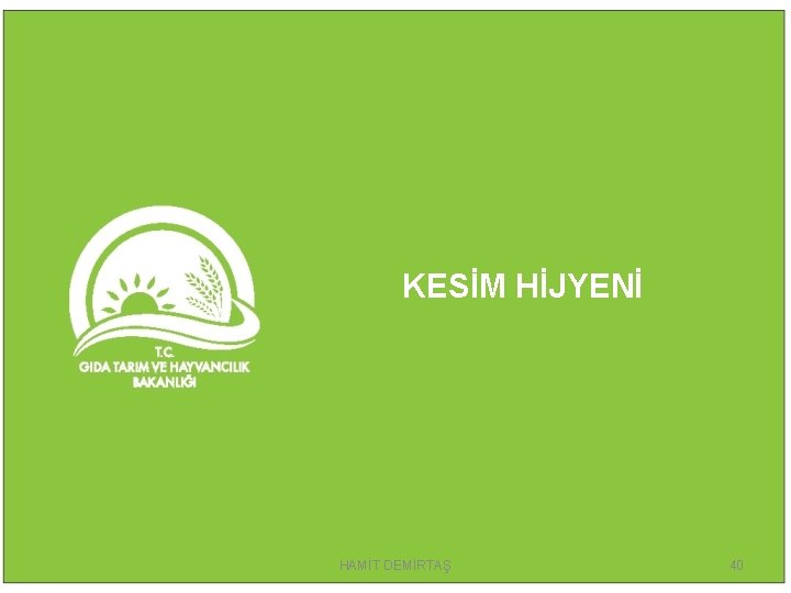 KESİM HİJYENİ HAMİT DEMİRTAŞ 40 