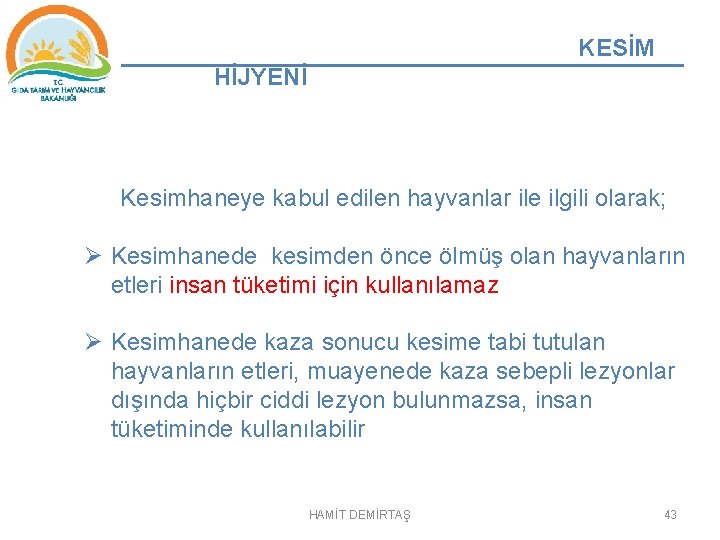 KESİM HİJYENİ Kesimhaneye kabul edilen hayvanlar ile ilgili olarak; Ø Kesimhanede kesimden önce ölmüş