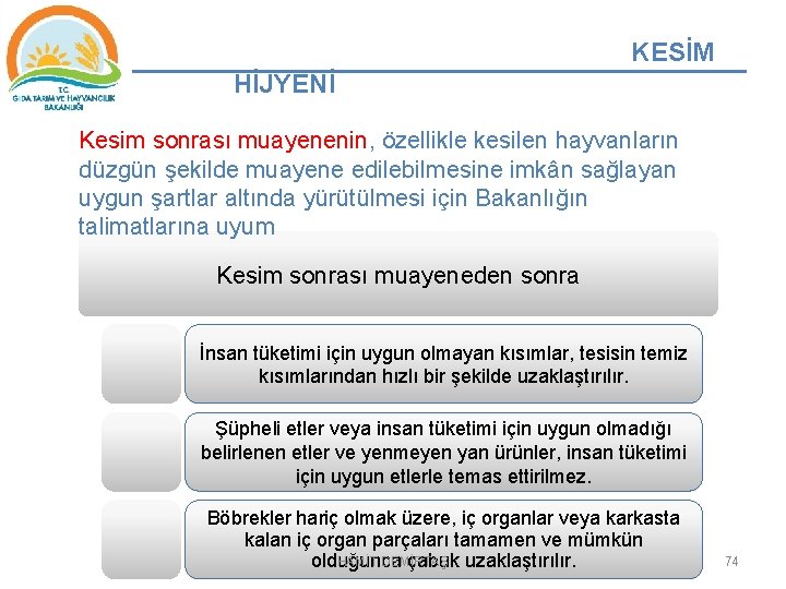 KESİM HİJYENİ Kesim sonrası muayenenin, özellikle kesilen hayvanların düzgün şekilde muayene edilebilmesine imkân sağlayan