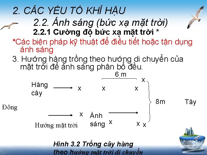 2. CÁC YẾU TỐ KHÍ HẬU 2. 2. Ánh sáng (bức xạ mặt trời)