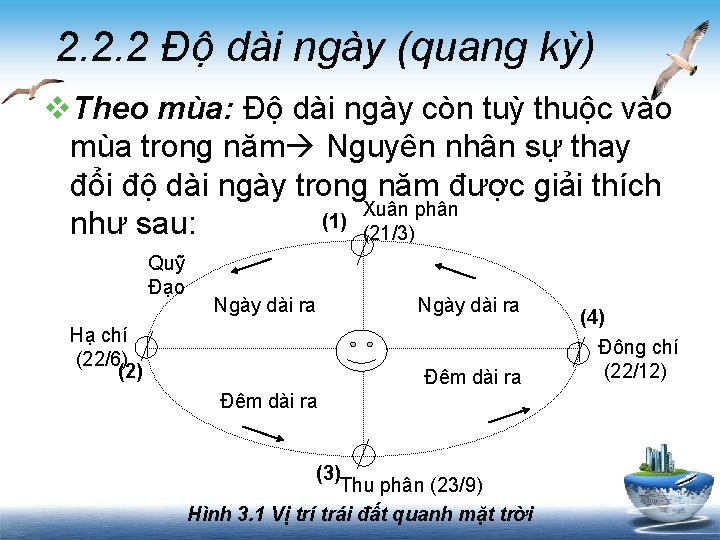 2. 2. 2 Độ dài ngày (quang kỳ) v. Theo mùa: Độ dài ngày