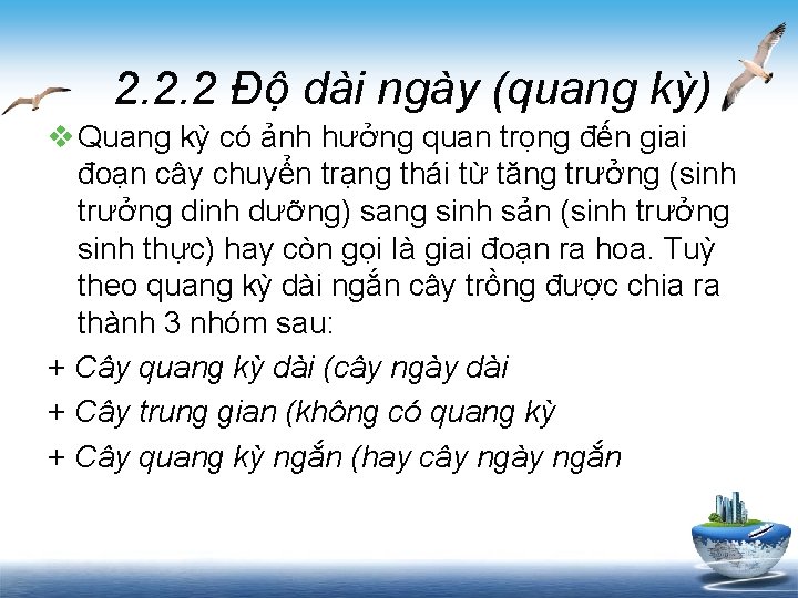 2. 2. 2 Độ dài ngày (quang kỳ) v Quang kỳ có ảnh hưởng