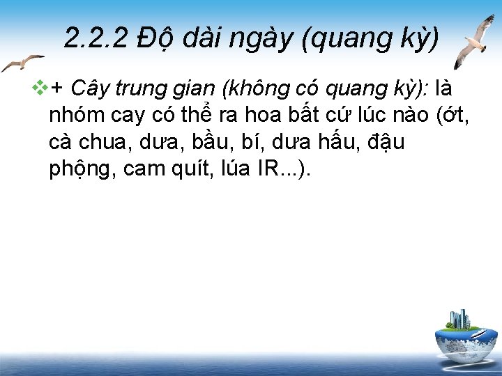 2. 2. 2 Độ dài ngày (quang kỳ) v+ Cây trung gian (không có