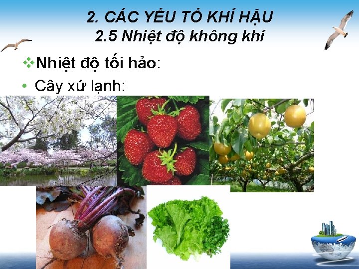 2. CÁC YẾU TỐ KHÍ HẬU 2. 5 Nhiệt độ không khí v. Nhiệt