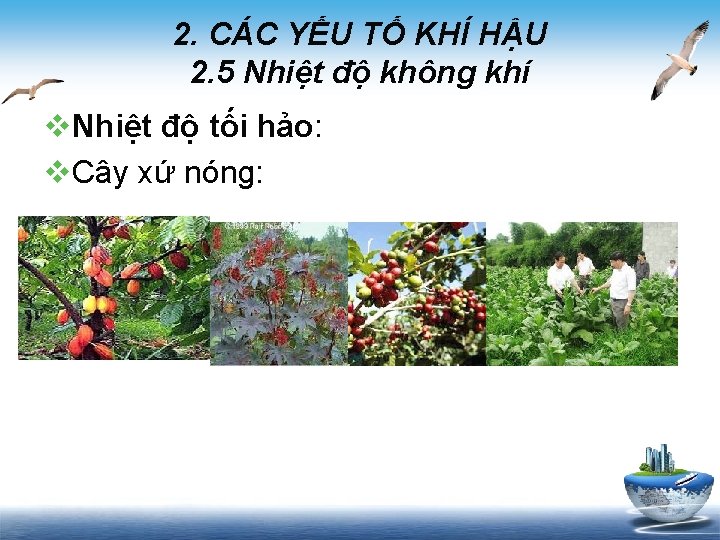 2. CÁC YẾU TỐ KHÍ HẬU 2. 5 Nhiệt độ không khí v. Nhiệt