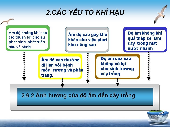 2. CÁC YẾU TỐ KHÍ HẬU Ẩm độ không khí cao tạo thuận lợi