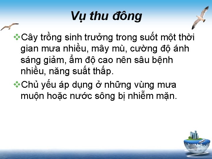 Vụ thu đông v. Cây trồng sinh trưởng trong suốt một thời gian mưa