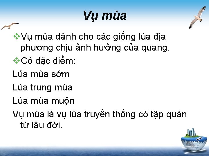 Vụ mùa v. Vụ mùa dành cho các giống lúa địa phương chịu ảnh