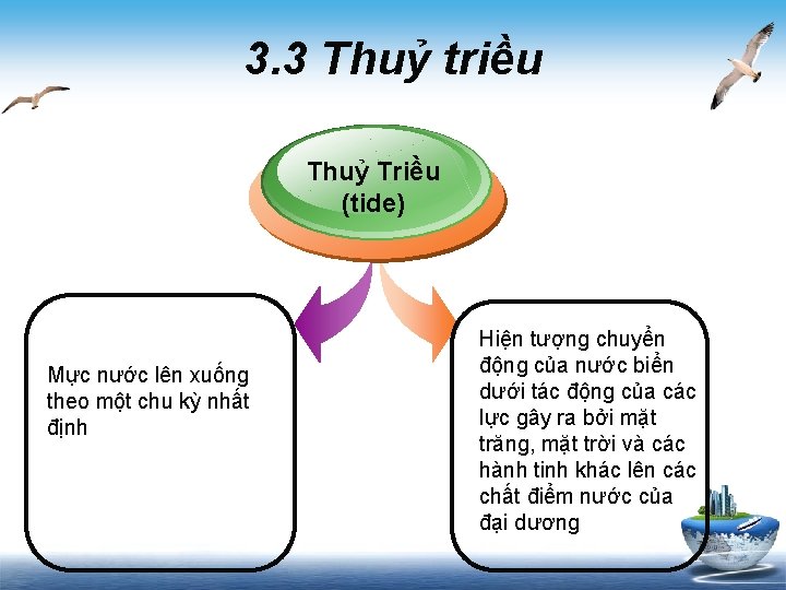 3. 3 Thuỷ triều Thuỷ Triều (tide) Mực nước lên xuống theo một chu