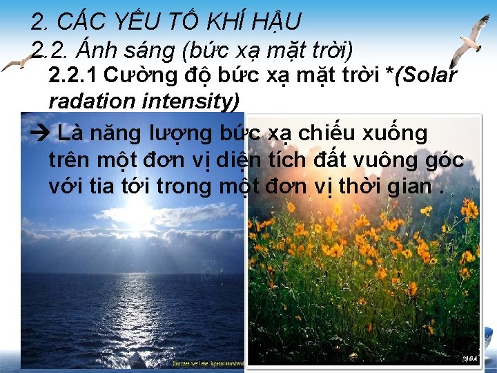 2. CÁC YẾU TỐ KHÍ HẬU 2. 2. Ánh sáng (bức xạ mặt trời)