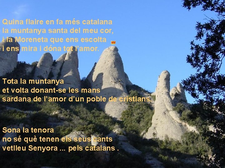 Quina flaire en fa més catalana la muntanya santa del meu cor, i la