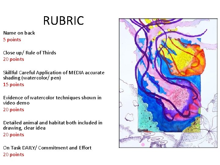 RUBRIC Name on back 5 points Close up/ Rule of Thirds 20 points Skillful