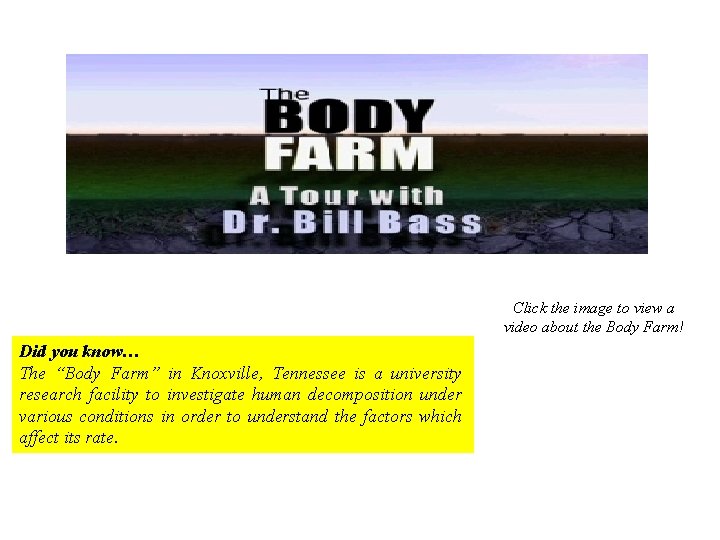 Click the image to view a video about the Body Farm! Did you know…