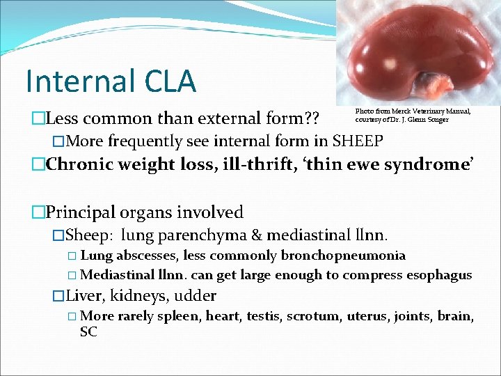 Internal CLA �Less common than external form? ? �More frequently see internal form in