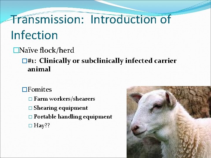 Transmission: Introduction of Infection �Naïve flock/herd �#1: Clinically or subclinically infected carrier animal �Fomites