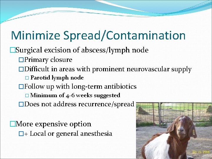 Minimize Spread/Contamination �Surgical excision of abscess/lymph node �Primary closure �Difficult in areas with prominent
