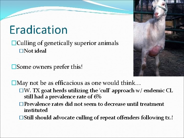 Eradication �Culling of genetically superior animals �Not ideal �Some owners prefer this! �May not