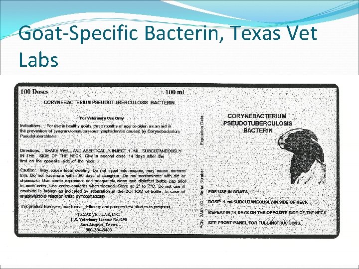 Goat-Specific Bacterin, Texas Vet Labs 