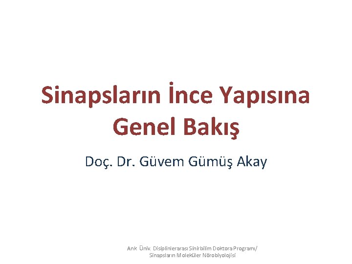 Sinapsların İnce Yapısına Genel Bakış Doç. Dr. Güvem Gümüş Akay Ank. Üniv. Disiplinlerarası Sinirbilim