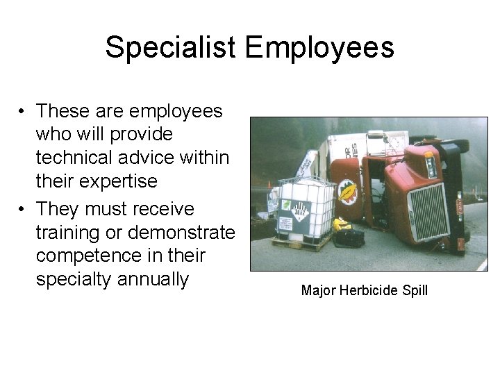 Specialist Employees • These are employees who will provide technical advice within their expertise