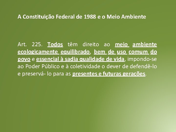 A Constituição Federal de 1988 e o Meio Ambiente Art. 225. Todos têm direito