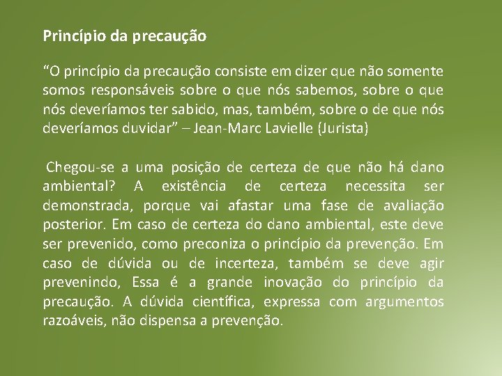 Princípio da precaução “O princípio da precaução consiste em dizer que não somente somos Princípio da precaução “O princípio da precaução consiste em dizer que não somente somos