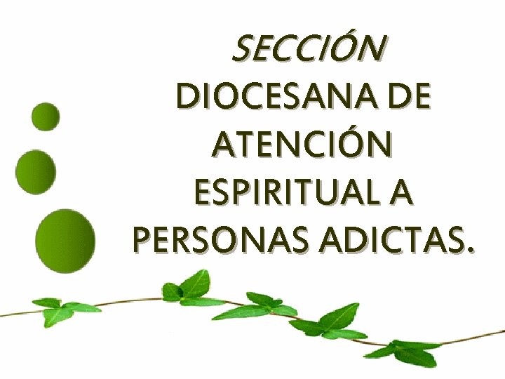 SECCIÓN DIOCESANA DE ATENCIÓN ESPIRITUAL A PERSONAS ADICTAS. 