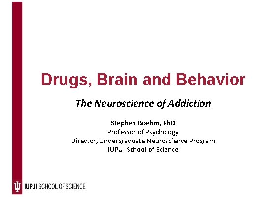 Drugs, Brain and Behavior The Neuroscience of Addiction Stephen Boehm, Ph. D Professor of