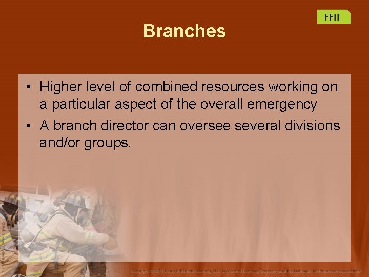 Branches • Higher level of combined resources working on a particular aspect of the