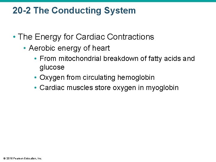 20 -2 The Conducting System • The Energy for Cardiac Contractions • Aerobic energy