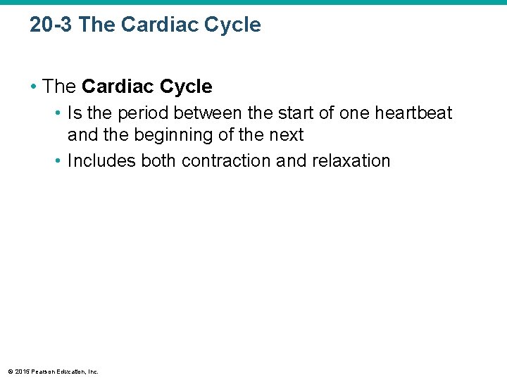20 -3 The Cardiac Cycle • The Cardiac Cycle • Is the period between