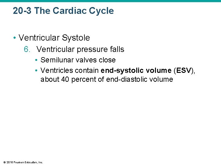 20 -3 The Cardiac Cycle • Ventricular Systole 6. Ventricular pressure falls • Semilunar