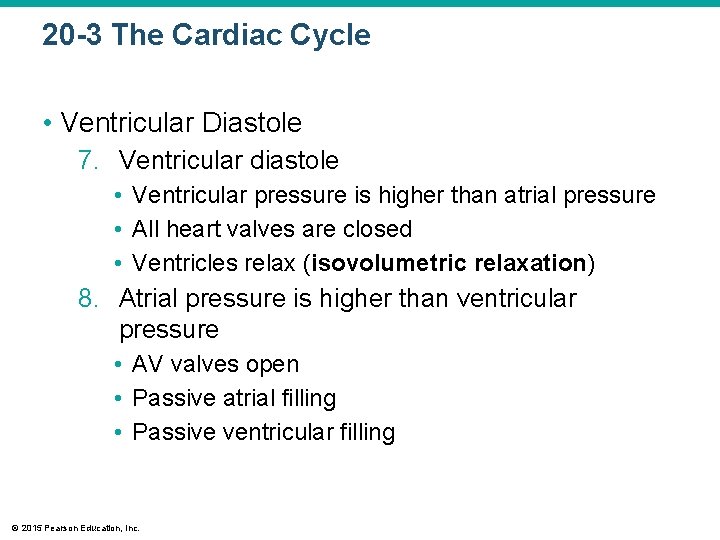 20 -3 The Cardiac Cycle • Ventricular Diastole 7. Ventricular diastole • Ventricular pressure