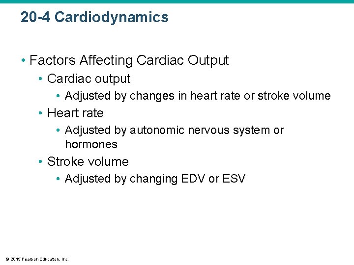 20 -4 Cardiodynamics • Factors Affecting Cardiac Output • Cardiac output • Adjusted by