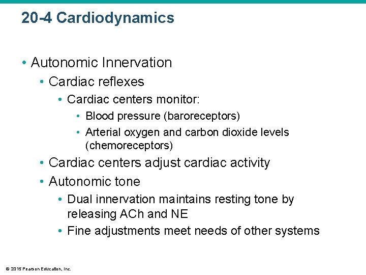 20 -4 Cardiodynamics • Autonomic Innervation • Cardiac reflexes • Cardiac centers monitor: •