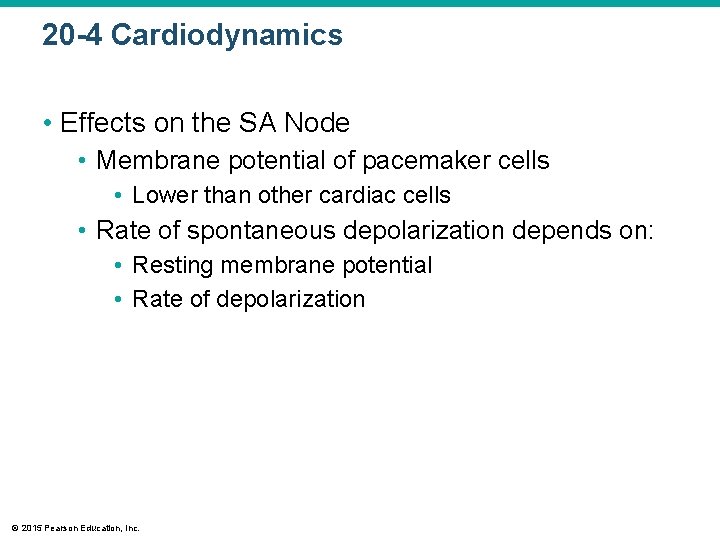 20 -4 Cardiodynamics • Effects on the SA Node • Membrane potential of pacemaker